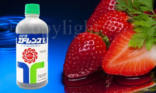 バイオエドレンス-L